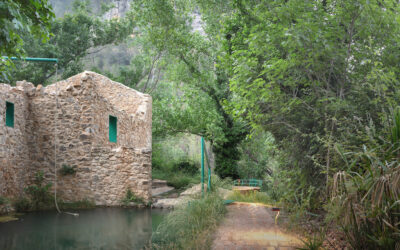El camino de la almazara o cómo mejorar un recorrido natural sin alterarlo