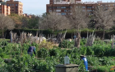 Un paseo sin rumbo por Malilla