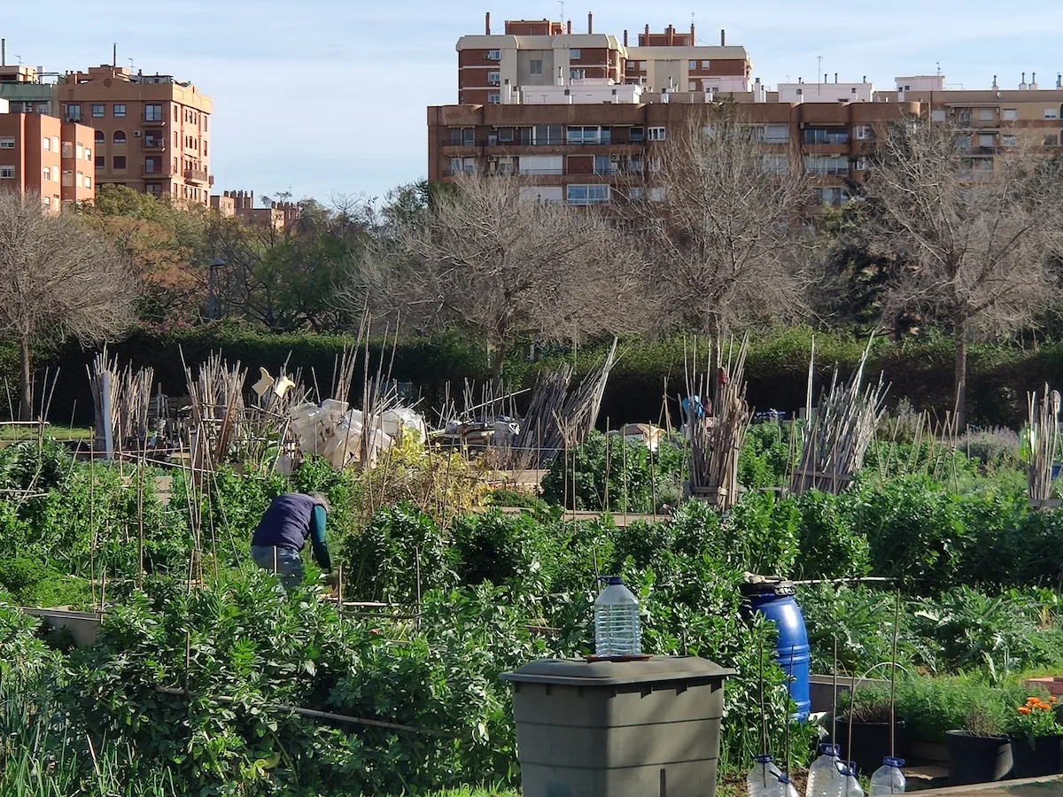 1b0c0b5d-3d57-4af9-8268-651f3ea37b78_1200x900