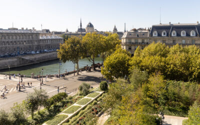 La buena idea de quitar asfalto y poner un bosque en medio de París
