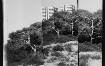 El IVAM explora artísticamente La Albufera, desde el imaginario del XIX hasta los desafíos ecosociales actuales