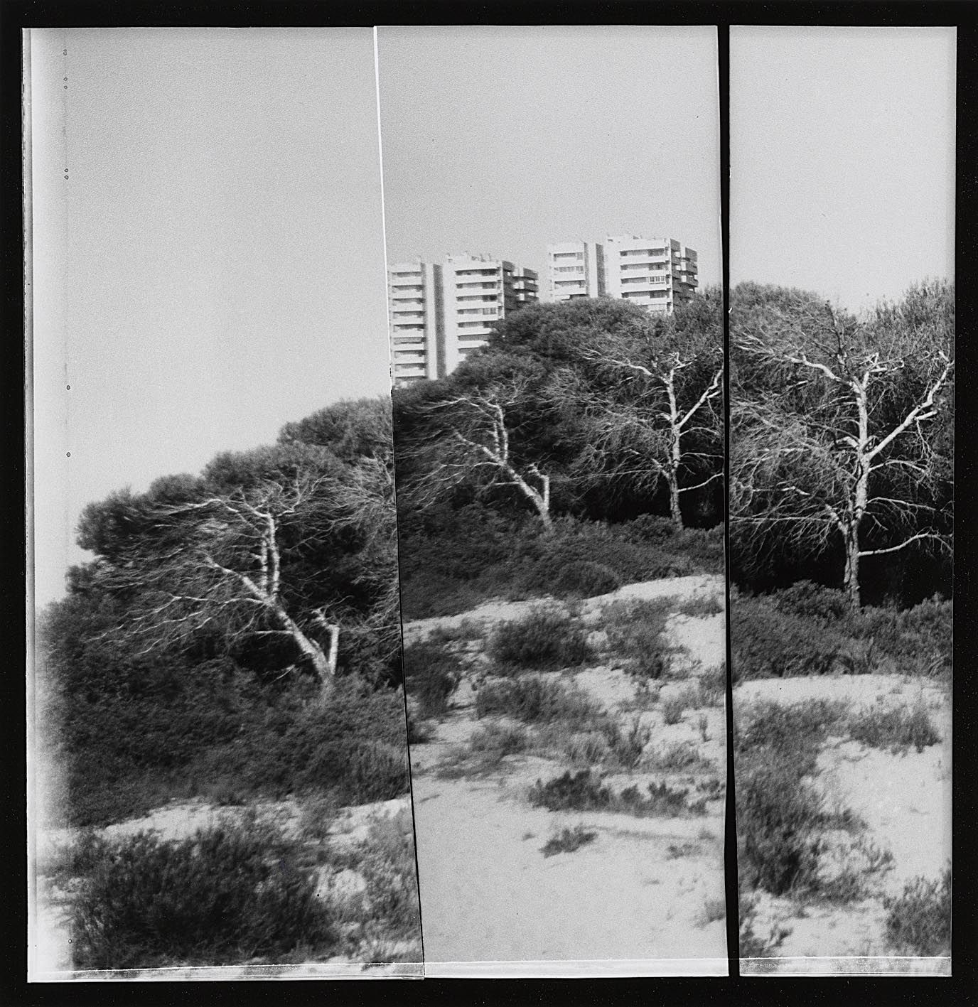 Andreas Müller-Pohle. Sin título, del proyecto L’Albufera. Visió Tangencial, 1985. IVAM Institut Valencià d’Art Modern, Generalitat