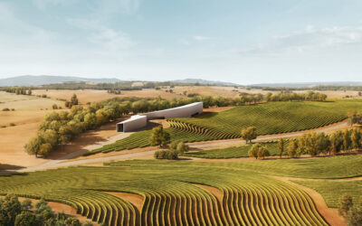 Arquitectura y vino: Fran Silvestre se une al club