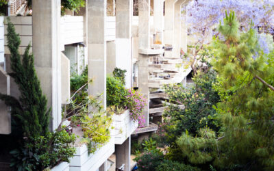 Open House Valencia y sus novedades: 76 arquitecturas, 20 rutas urbanas y una app